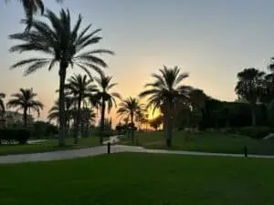 مدينة الشيخ زايد