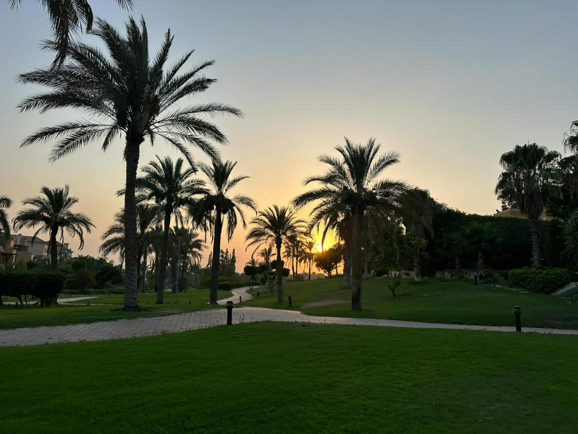 El-sheikh zayed city
