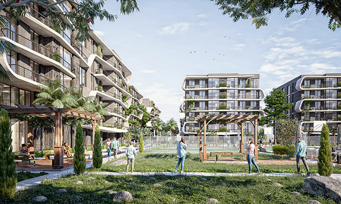 belva compound
